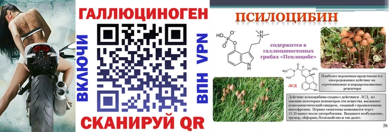наркошоп  Нурлат  Псилоцибиновые грибы MAGIC MUSHROOMS 