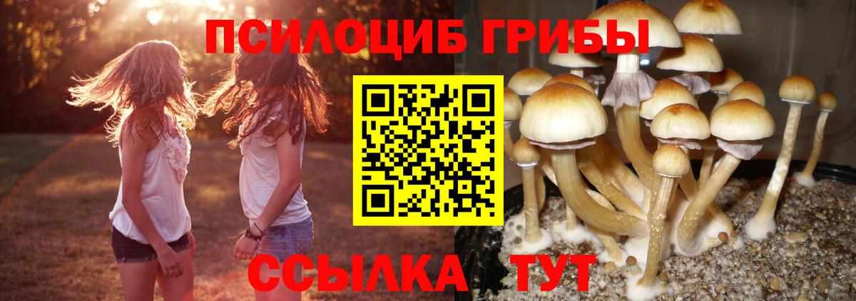 Галлюциногенные грибы Magic Shrooms Нурлат